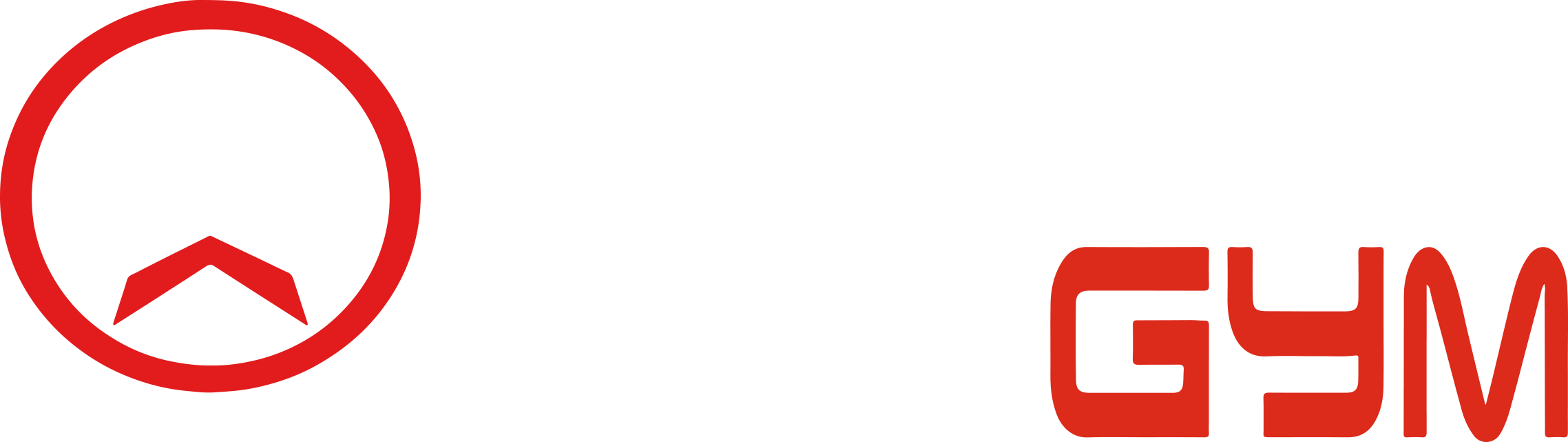 Renegade Gym Logo